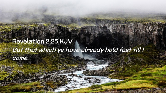 Picture 02 - Revelation 2:25 KJV Desktop Wallpaper - But that which ye have already hold fast till I - Desktop Bible Verse Wallpaper