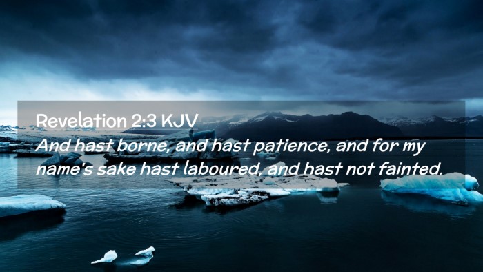 Picture 02 - Revelation 2:3 KJV Desktop Wallpaper - And hast borne, and hast patience, and for my - Desktop Bible Verse Wallpaper