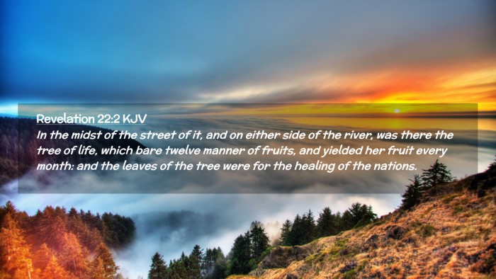 Picture 02 - Revelation 22:2 KJV Desktop Wallpaper - In the midst of the street of it, and on either - Desktop Bible Verse Wallpaper