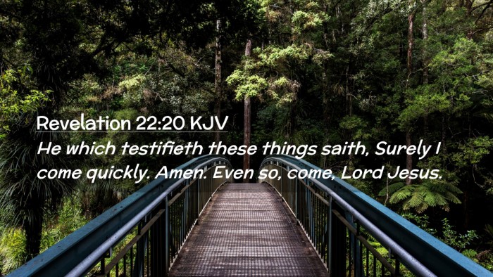 Picture 02 - Revelation 22:20 KJV Desktop Wallpaper - He which testifieth these things saith, Surely I - Desktop Bible Verse Wallpaper