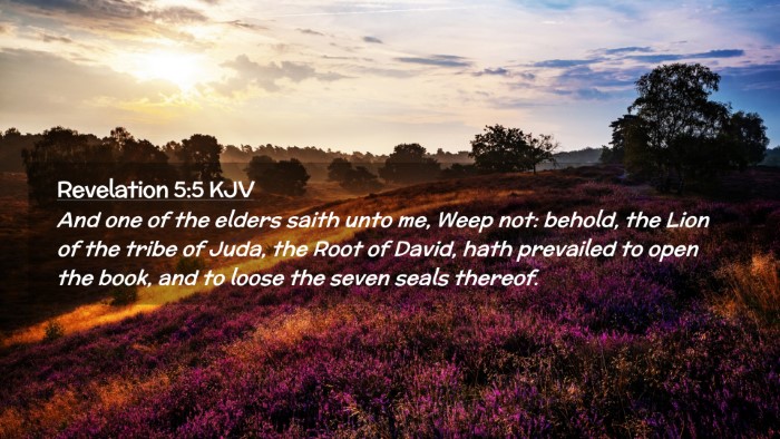 Picture 02 - Revelation 5:5 KJV Desktop Wallpaper - And one of the elders saith unto me, Weep not: - Desktop Bible Verse Wallpaper