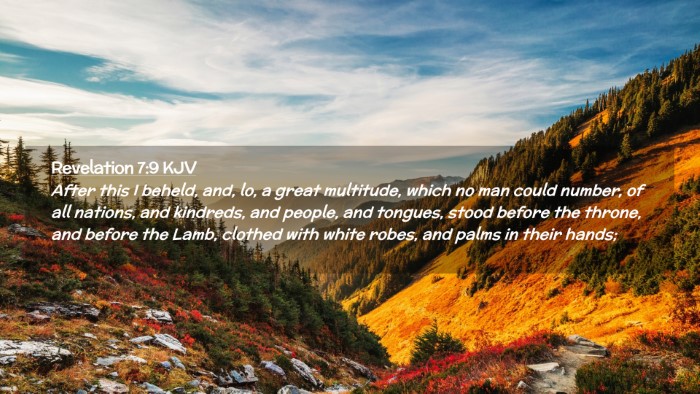 Picture 02 - Revelation 7:9 KJV Desktop Wallpaper - After this I beheld, and, lo, a great multitude, - Desktop Bible Verse Wallpaper
