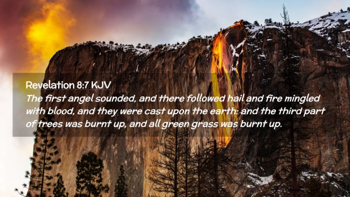 Picture 02 - Revelation 8:7 KJV Desktop Wallpaper - The first angel sounded, and there followed hail - Desktop Bible Verse Wallpaper