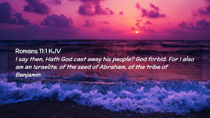 Picture 02 - Romans 11:1 KJV Desktop Wallpaper - I say then, Hath God cast away his people? God - Desktop Bible Verse Wallpaper