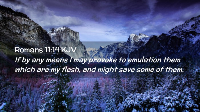 Picture 02 - Romans 11:14 KJV Desktop Wallpaper - If by any means I may provoke to emulation them - Desktop Bible Verse Wallpaper