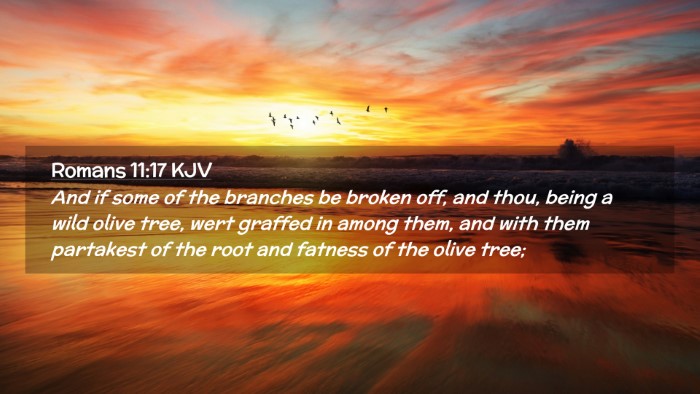 Picture 02 - Romans 11:17 KJV Desktop Wallpaper - And if some of the branches be broken off, and - Desktop Bible Verse Wallpaper
