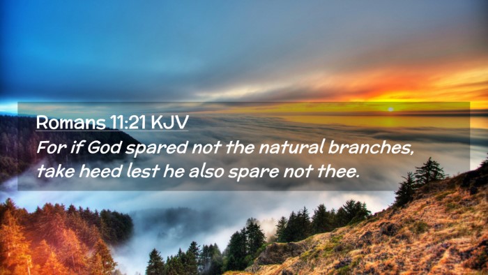 Picture 02 - Romans 11:21 KJV Desktop Wallpaper - For if God spared not the natural branches, take - Desktop Bible Verse Wallpaper