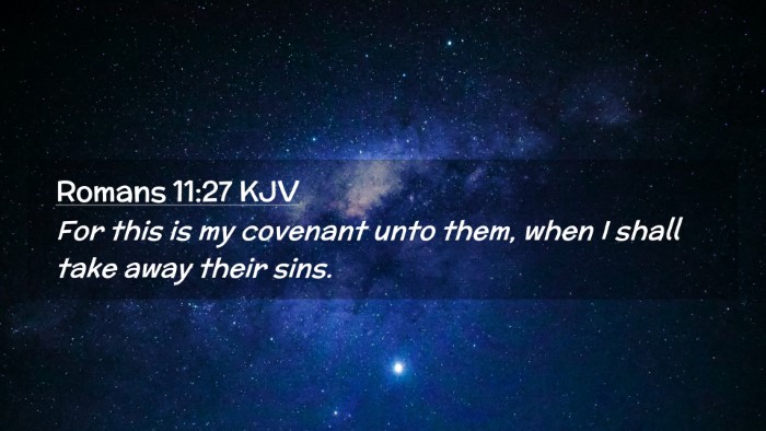 Picture 02 - Romans 11:27 KJV Desktop Wallpaper - For this is my covenant unto them, when I shall - Desktop Bible Verse Wallpaper