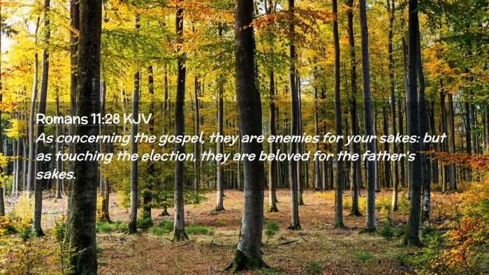 Picture 02 - Romans 11:28 KJV Desktop Wallpaper - As concerning the gospel, they are enemies for - Desktop Bible Verse Wallpaper