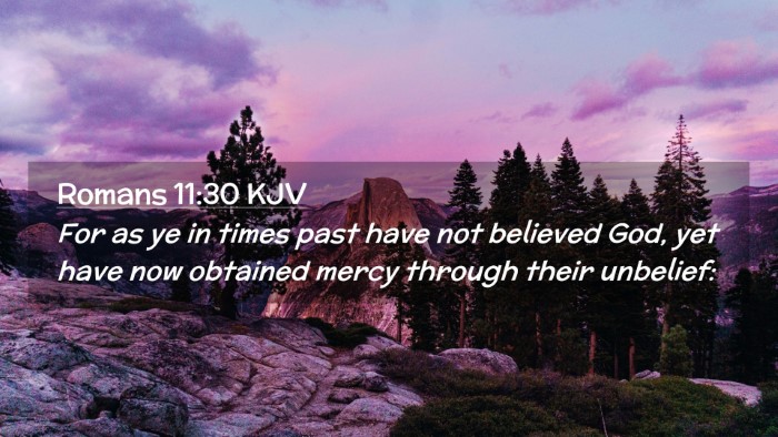 Picture 02 - Romans 11:30 KJV Desktop Wallpaper - For as ye in times past have not believed God, - Desktop Bible Verse Wallpaper