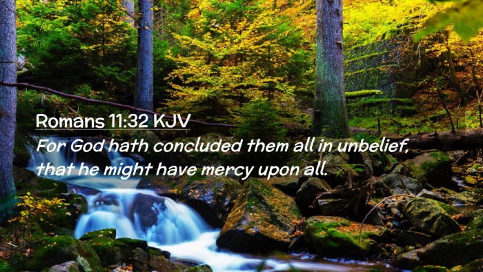 Picture 02 - Romans 11:32 KJV Desktop Wallpaper - For God hath concluded them all in unbelief, that - Desktop Bible Verse Wallpaper