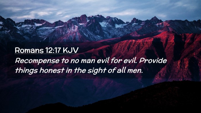 Picture 02 - Romans 12:17 KJV Desktop Wallpaper - Recompense to no man evil for evil. Provide - Desktop Bible Verse Wallpaper