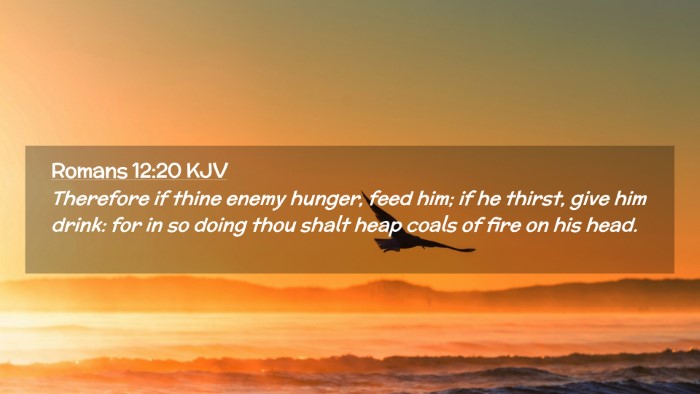 Picture 02 - Romans 12:20 KJV Desktop Wallpaper - Therefore if thine enemy hunger, feed him; if he - Desktop Bible Verse Wallpaper