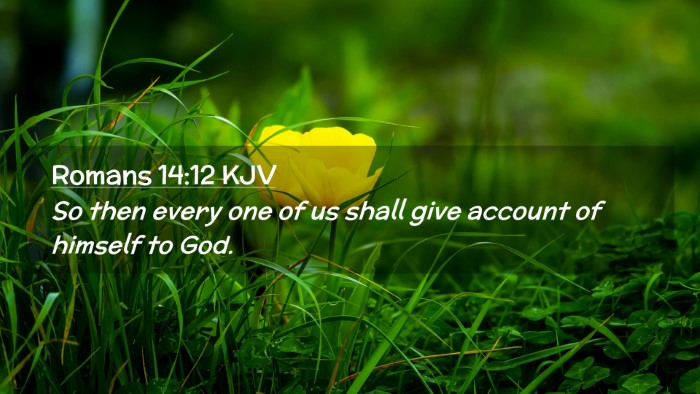 Picture 02 - Romans 14:12 KJV Desktop Wallpaper - So then every one of us shall give account of - Desktop Bible Verse Wallpaper