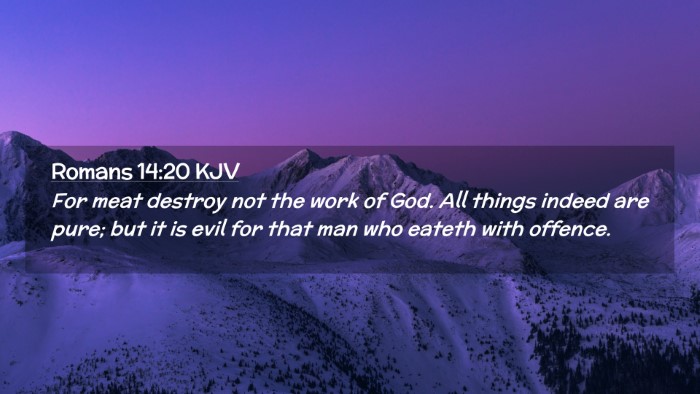 Picture 02 - Romans 14:20 KJV Desktop Wallpaper - For meat destroy not the work of God. All things - Desktop Bible Verse Wallpaper