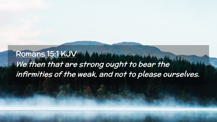 Picture 02 - Romans 15:1 KJV Desktop Wallpaper - We then that are strong ought to bear the - Desktop Bible Verse Wallpaper