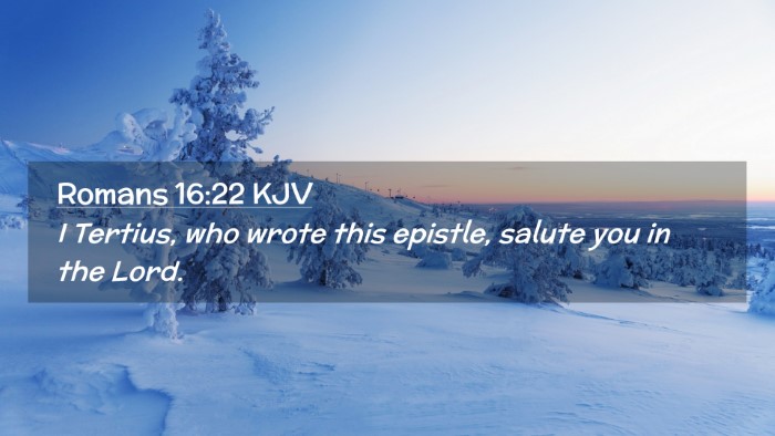 Picture 02 - Romans 16:22 KJV Desktop Wallpaper - I Tertius, who wrote this epistle, salute you in - Desktop Bible Verse Wallpaper