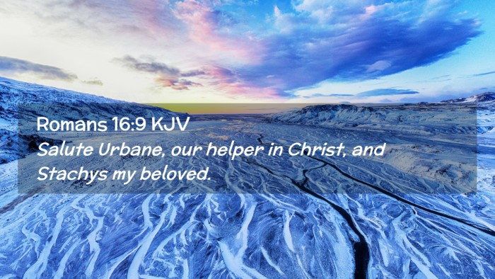 Picture 02 - Romans 16:9 KJV Desktop Wallpaper - Salute Urbane, our helper in Christ, and Stachys - Desktop Bible Verse Wallpaper