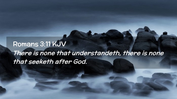 Picture 02 - Romans 3:11 KJV Desktop Wallpaper - There is none that understandeth, there is none - Desktop Bible Verse Wallpaper