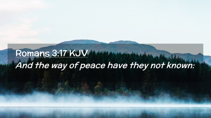 Picture 02 - Romans 3:17 KJV Desktop Wallpaper - And the way of peace have they not - Desktop Bible Verse Wallpaper