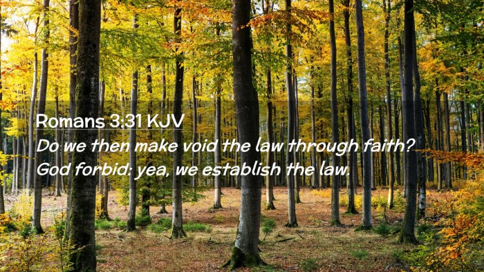 Picture 02 - Romans 3:31 KJV Desktop Wallpaper - Do we then make void the law through faith? God - Desktop Bible Verse Wallpaper
