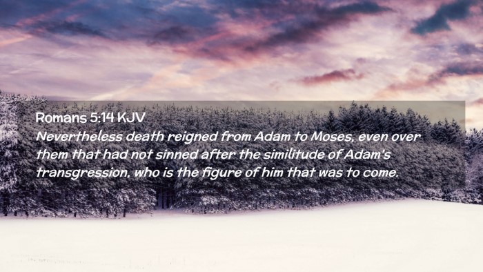 Picture 02 - Romans 5:14 KJV Desktop Wallpaper - Nevertheless death reigned from Adam to Moses, - Desktop Bible Verse Wallpaper