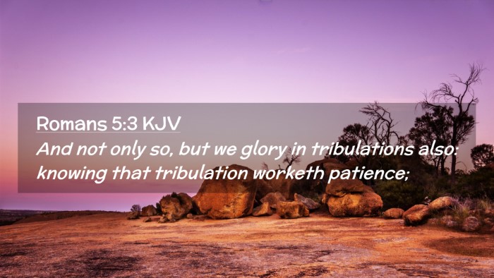 Picture 02 - Romans 5:3 KJV Desktop Wallpaper - And not only so, but we glory in tribulations - Desktop Bible Verse Wallpaper