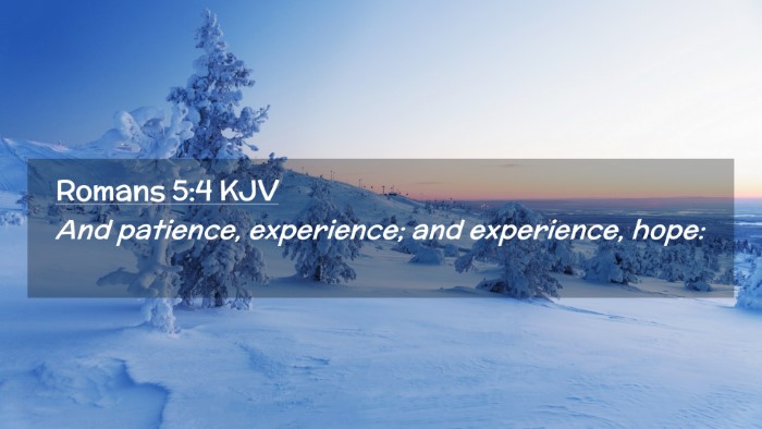 Picture 02 - Romans 5:4 KJV Desktop Wallpaper - And patience, experience; and experience, - Desktop Bible Verse Wallpaper