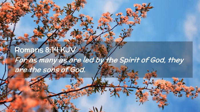 Picture 02 - Romans 8:14 KJV Desktop Wallpaper - For as many as are led by the Spirit of God, they - Desktop Bible Verse Wallpaper