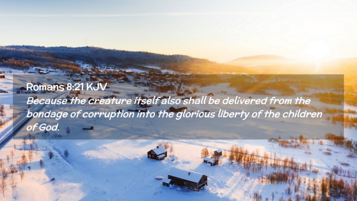 Picture 02 - Romans 8:21 KJV Desktop Wallpaper - Because the creature itself also shall be - Desktop Bible Verse Wallpaper