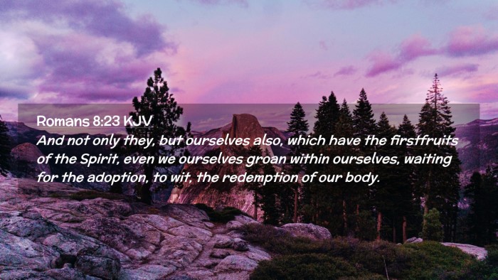 Picture 02 - Romans 8:23 KJV Desktop Wallpaper - And not only they, but ourselves also, which have - Desktop Bible Verse Wallpaper