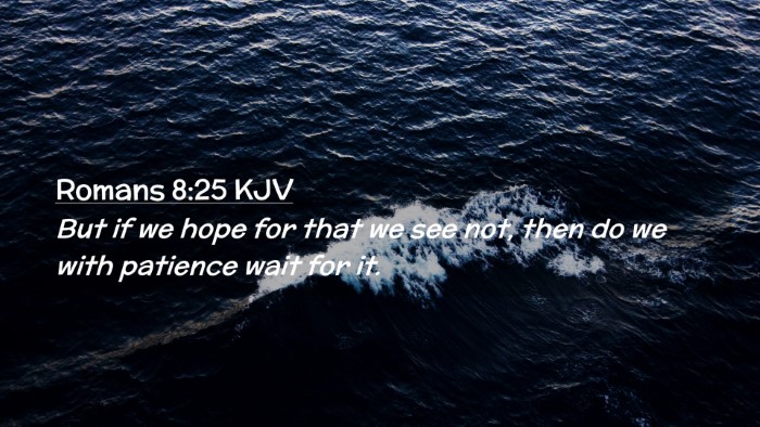Picture 02 - Romans 8:25 KJV Desktop Wallpaper - But if we hope for that we see not, then do we - Desktop Bible Verse Wallpaper