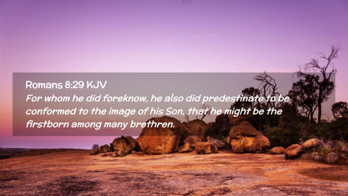Picture 02 - Romans 8:29 KJV Desktop Wallpaper - For whom he did foreknow, he also did - Desktop Bible Verse Wallpaper