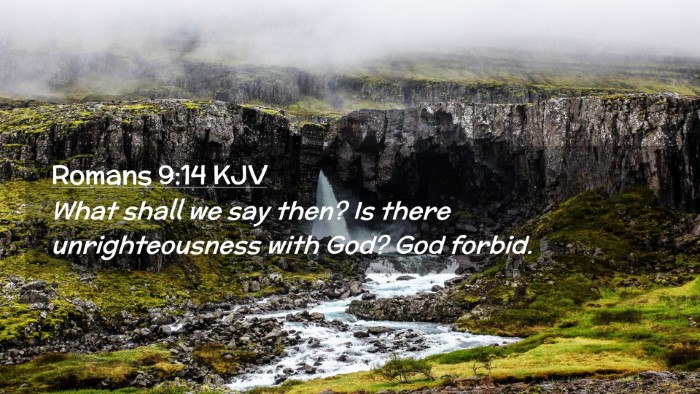 Picture 02 - Romans 9:14 KJV Desktop Wallpaper - What shall we say then? Is there unrighteousness - Desktop Bible Verse Wallpaper