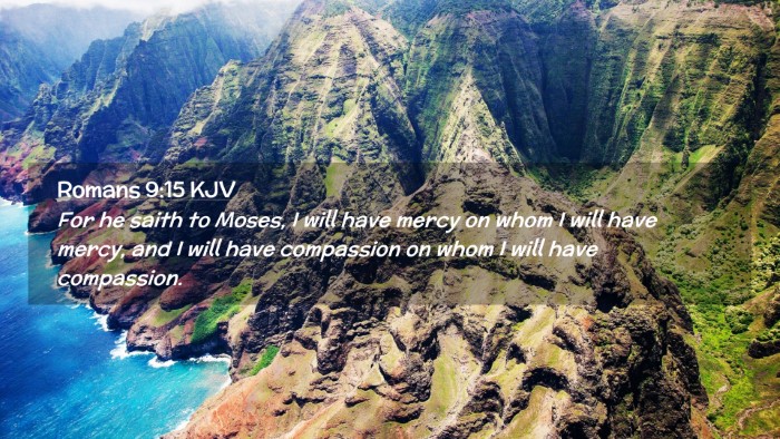 Picture 02 - Romans 9:15 KJV Desktop Wallpaper - For he saith to Moses, I will have mercy on whom - Desktop Bible Verse Wallpaper