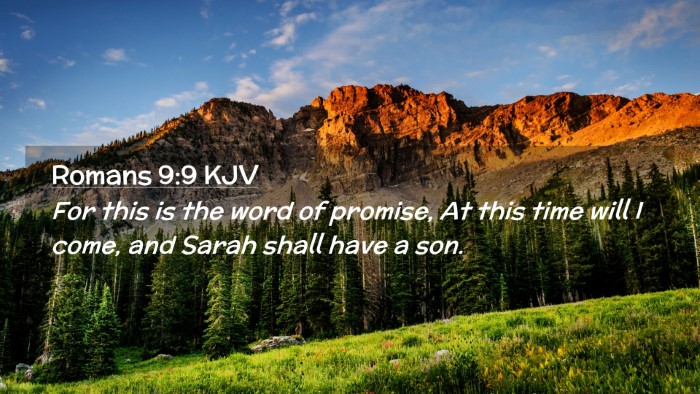 Picture 02 - Romans 9:9 KJV Desktop Wallpaper - For this is the word of promise, At this time - Desktop Bible Verse Wallpaper