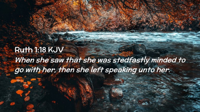 Picture 02 - Ruth 1:18 KJV Desktop Wallpaper - When she saw that she was stedfastly minded to go - Desktop Bible Verse Wallpaper