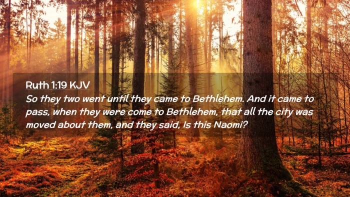 Picture 02 - Ruth 1:19 KJV Desktop Wallpaper - So they two went until they came to Bethlehem. - Desktop Bible Verse Wallpaper