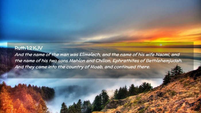 Picture 02 - Ruth 1:2 KJV Desktop Wallpaper - And the name of the man was Elimelech, and the - Desktop Bible Verse Wallpaper