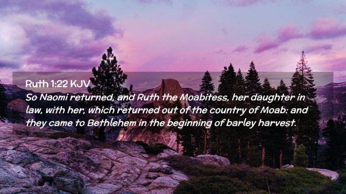 Picture 02 - Ruth 1:22 KJV Desktop Wallpaper - So Naomi returned, and Ruth the Moabitess, her - Desktop Bible Verse Wallpaper