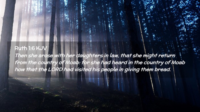 Picture 02 - Ruth 1:6 KJV Desktop Wallpaper - Then she arose with her daughters in law, that - Desktop Bible Verse Wallpaper