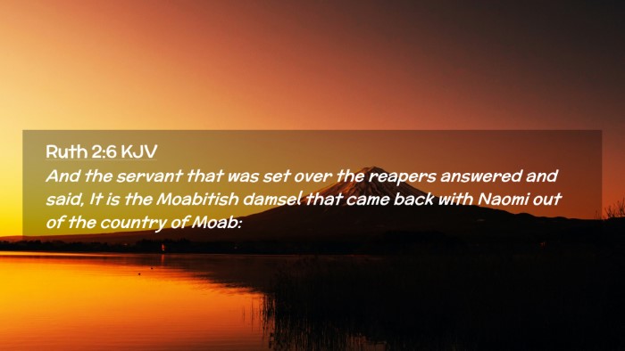 Picture 02 - Ruth 2:6 KJV Desktop Wallpaper - And the servant that was set over the reapers - Desktop Bible Verse Wallpaper