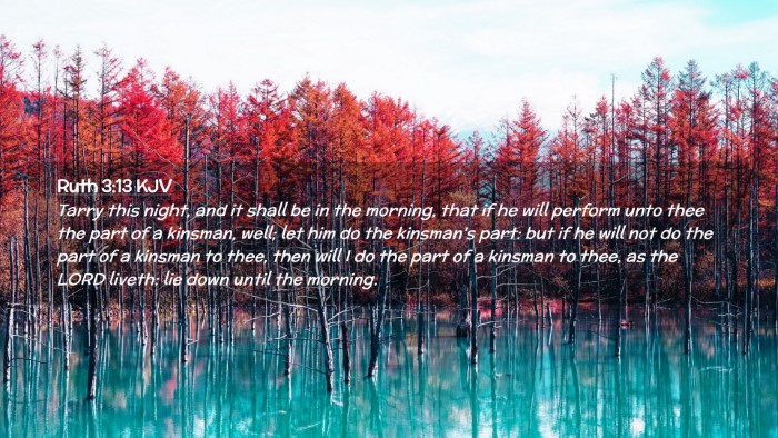 Picture 02 - Ruth 3:13 KJV Desktop Wallpaper - Tarry this night, and it shall be in the morning, - Desktop Bible Verse Wallpaper