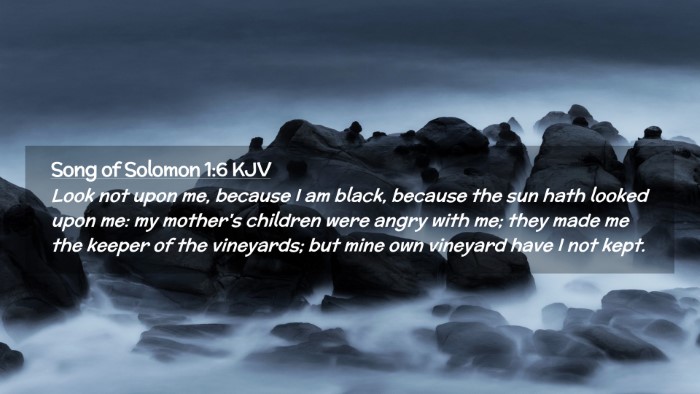 Picture 02 - Song of Solomon 1:6 KJV Desktop Wallpaper - Look not upon me, because I am black, because the - Desktop Bible Verse Wallpaper