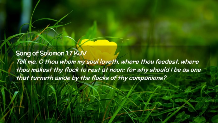 Picture 02 - Song of Solomon 1:7 KJV Desktop Wallpaper - Tell me, O thou whom my soul loveth, where thou - Desktop Bible Verse Wallpaper