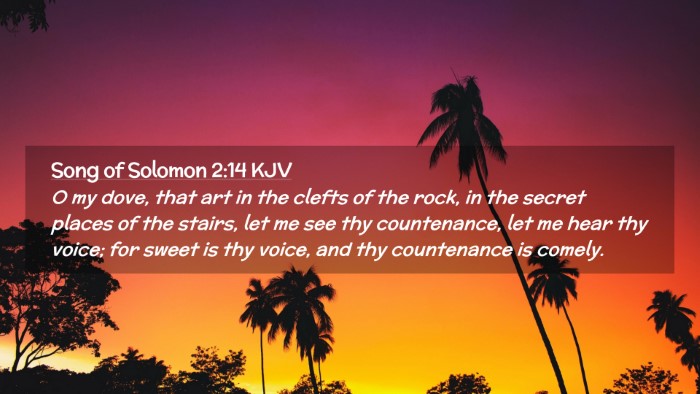 Picture 02 - Song of Solomon 2:14 KJV Desktop Wallpaper - O my dove, that art in the clefts of the rock, in - Desktop Bible Verse Wallpaper
