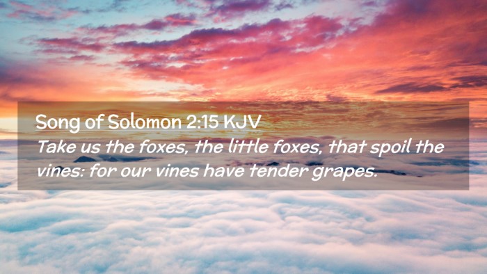 Picture 02 - Song of Solomon 2:15 KJV Desktop Wallpaper - Take us the foxes, the little foxes, that spoil - Desktop Bible Verse Wallpaper