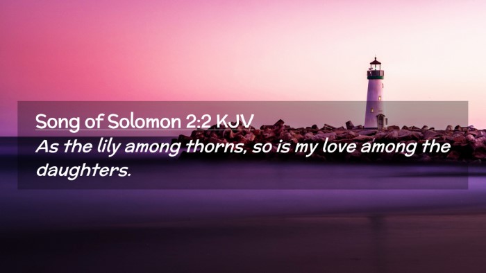 Picture 02 - Song of Solomon 2:2 KJV Desktop Wallpaper - As the lily among thorns, so is my love among the - Desktop Bible Verse Wallpaper