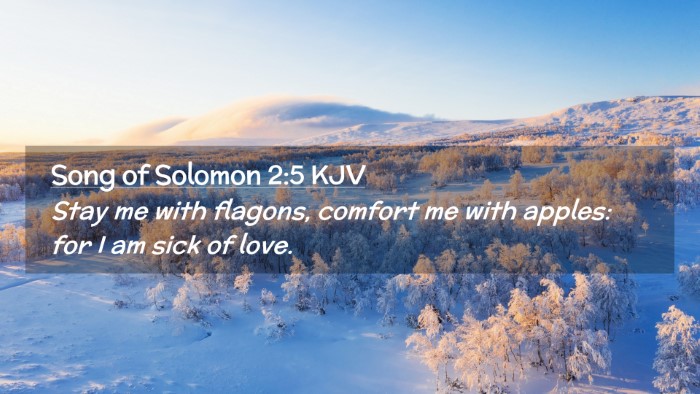 Picture 02 - Song of Solomon 2:5 KJV Desktop Wallpaper - Stay me with flagons, comfort me with apples: for - Desktop Bible Verse Wallpaper