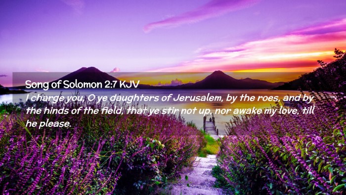 Picture 02 - Song of Solomon 2:7 KJV Desktop Wallpaper - I charge you, O ye daughters of Jerusalem, by the - Desktop Bible Verse Wallpaper